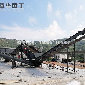 振動(dòng)洗石機(jī)